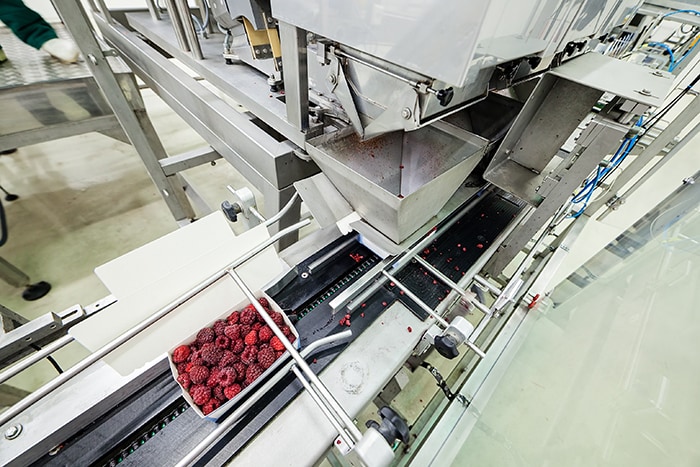 Fruit packaging process and solutions